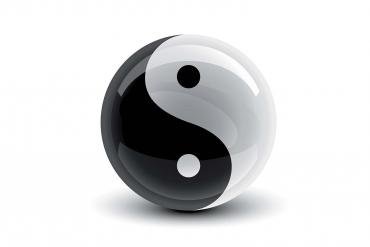 YING YANG STASH