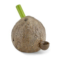 COCONUT PIPE  CERAMICA
