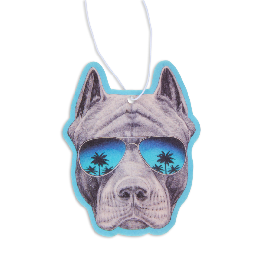 FRESH FRESHENER  Pit Bull Sunnies