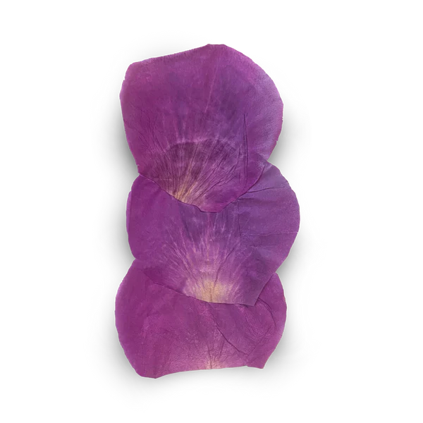 ZIG ZAG ROSE 2x WRAPS KS